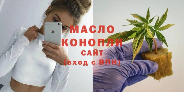 индика Абинск