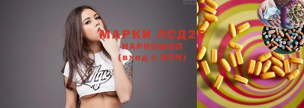СК Алзамай