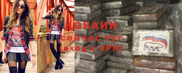 индика Абинск