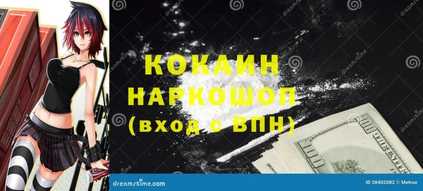 индика Абинск